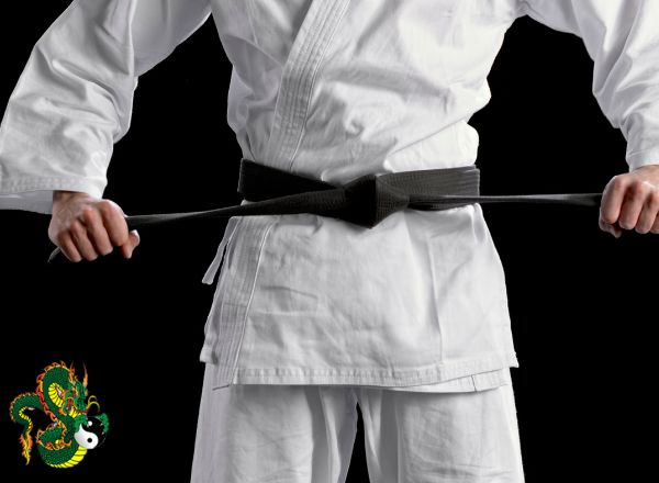 Unveiling Martial Arts Mastery: Insights from the Masters