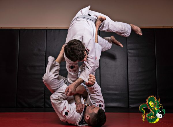 Jiu-Jitsu for Self-Defense: Practical Techniques for Real-Life Situations
